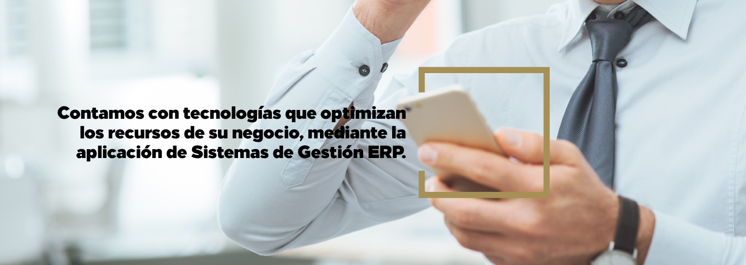 Contamos con tecnologías que optimizan los recursos de su negocio, mediante la aplicación de Sistemas de Gestión ERP.